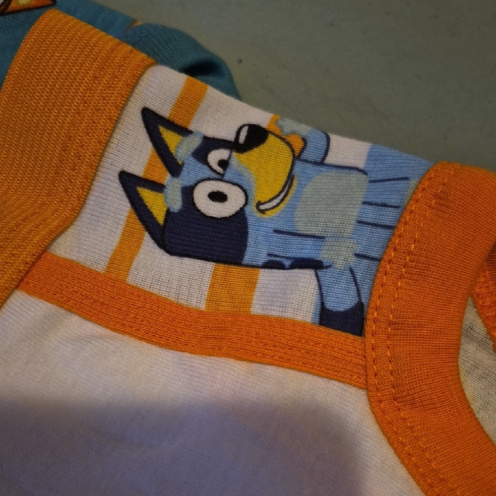 BrandNew BLUEY Underwear Set 5Pairs Boys - Picture 4 of 5